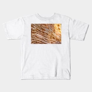 Lick Wash Trail Hike Kids T-Shirt